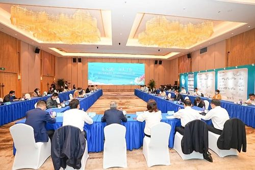 昆山旅游度假區召開東方湖區項目策劃咨詢會，推動旅游開發新篇章