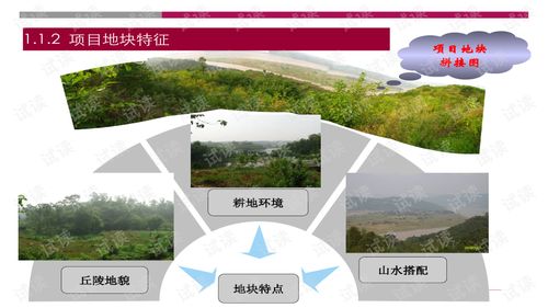 世聯重慶大型旅游地產項目策劃報告